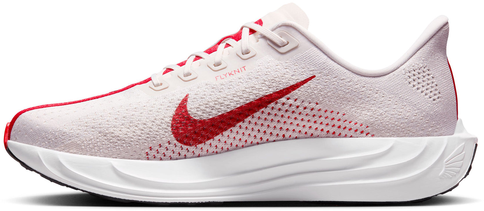 Nike Pegasus Plus Mens