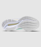 Mizuno Wave Rider 27 Womens