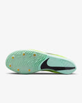 Nike ZoomX Dragonfly